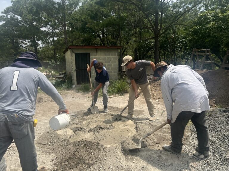 40101404 5508 4afe 9f06 1d22aaff8646 1 105 C